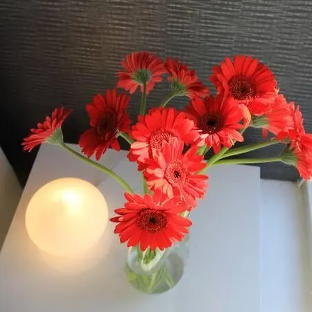 Appartement Flott Med 4 Soverom Sentralt I Oslo