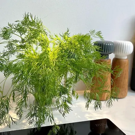 Διαμέρισμα Flott Med 4 Soverom Sentralt I Όσλο